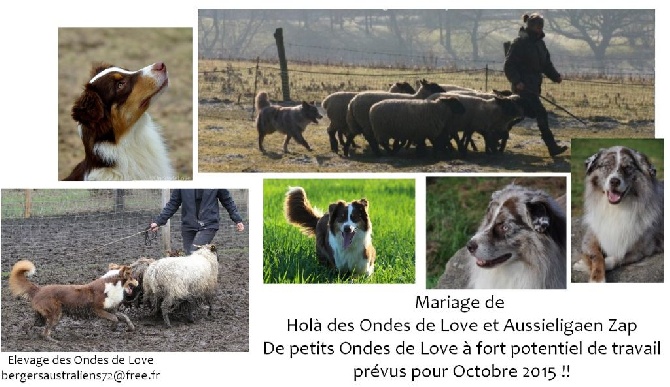 des ondes de Love - De petits Ondes de Love pour Octobre 2015 !!